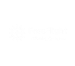 ForeFlight