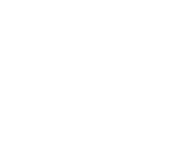 Prosoft Binders